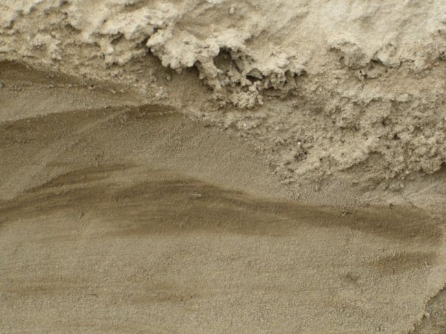  2006:09:10 00:33:39   Rippled Fine Sand.jpg